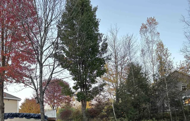 $539,900 | 98 Perry Road, Jaffrey, NH 03452