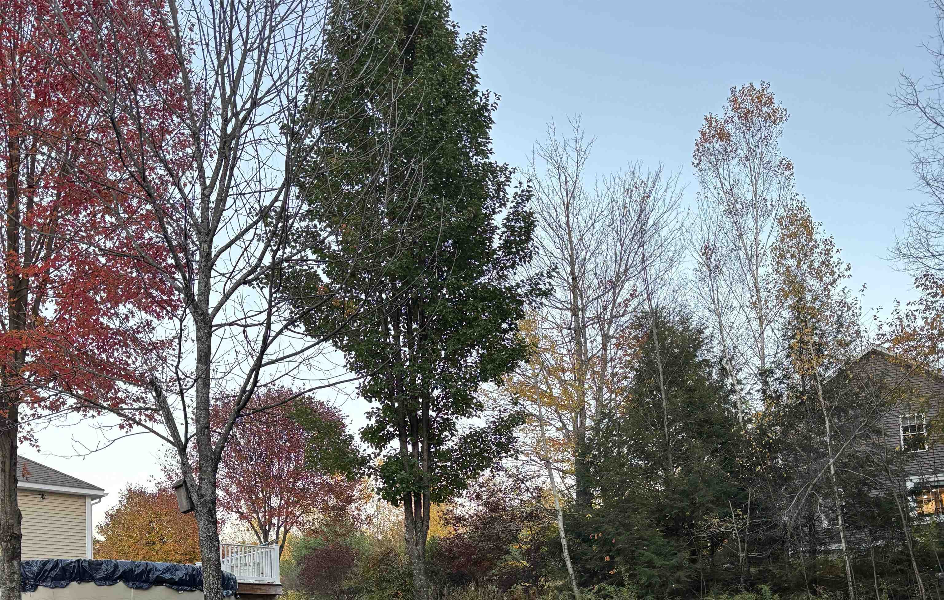 98 Perry Road Jaffrey, NH 03452 - Photo 32 of 35