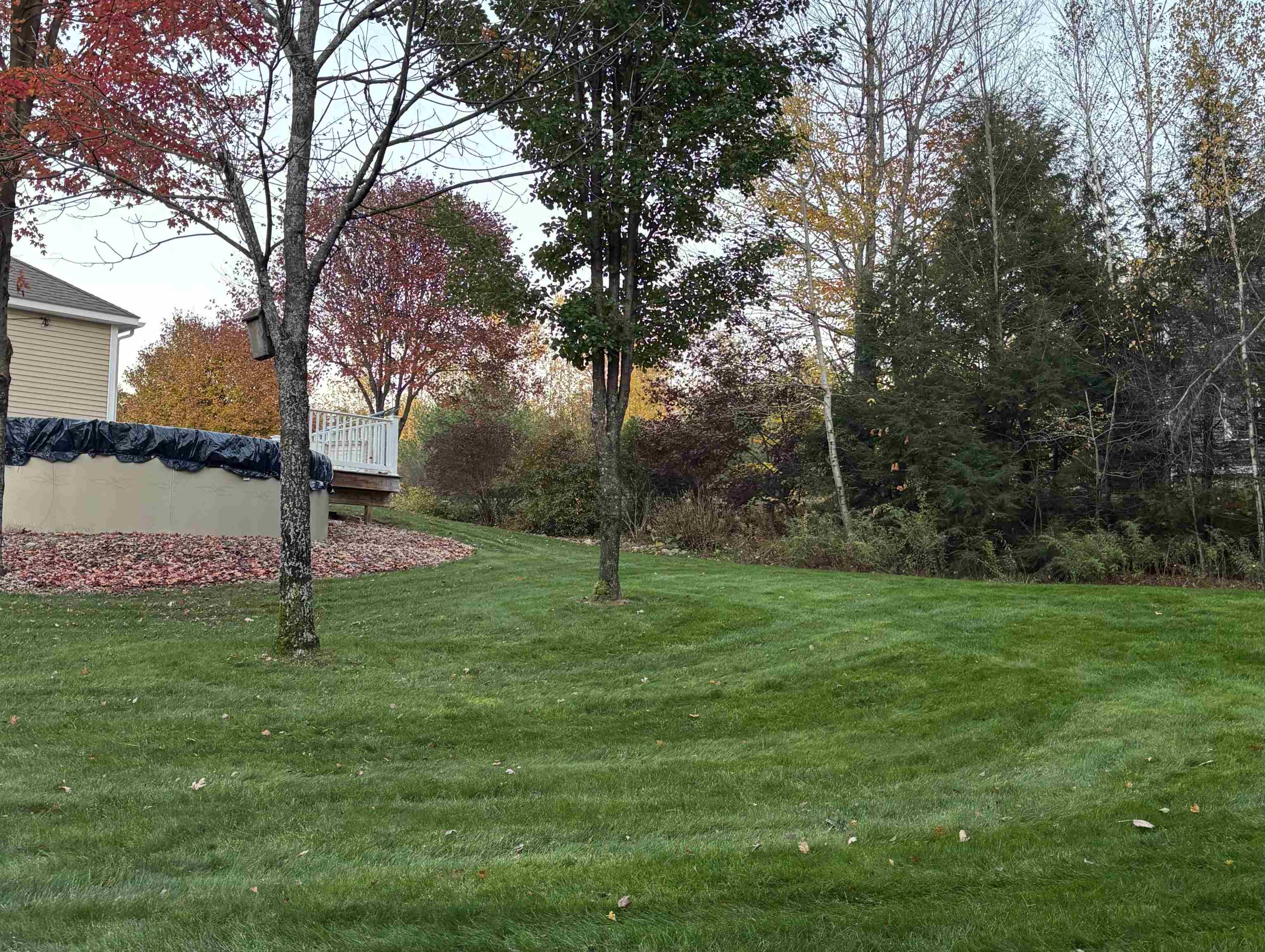 98 Perry Road Jaffrey, NH 03452 - Photo 33 of 35