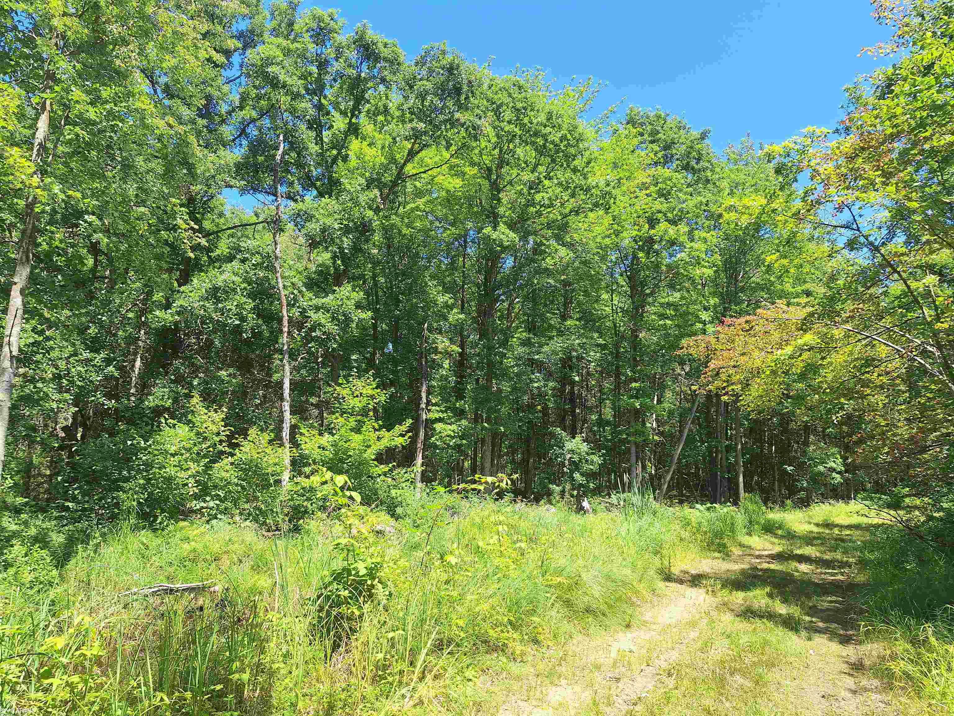 0 Castor Road Midland, MI 48640 - Photo 16 of 26