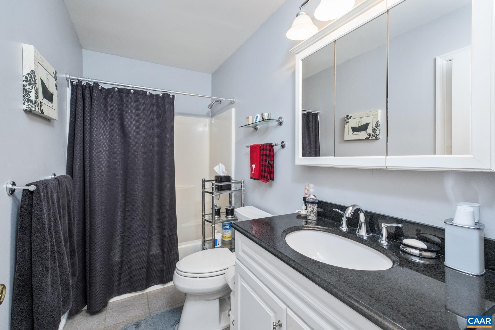 162 Rolling Hills Road Ruckersville, VA 22968 - Photo 27 of 48 a bathroom with a sink a toilet a mirror and shower curtain