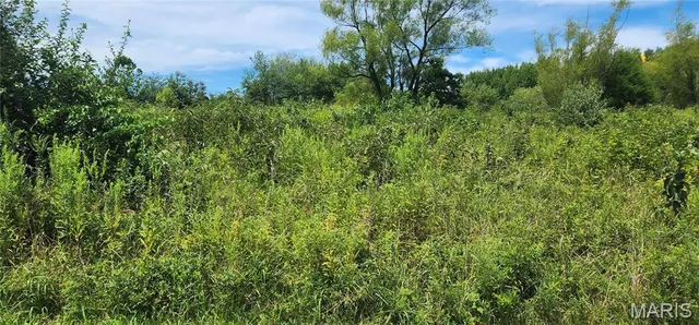 $35,900 | 85 Maggie Lane, Makanda, IL 62958