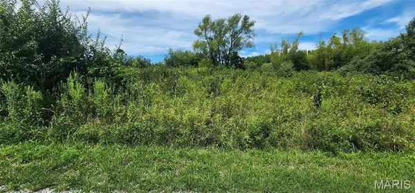 $35,900 | 85 Maggie Lane, Makanda, IL 62958