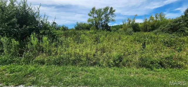 $35,900 | 85 Maggie Lane, Makanda, IL 62958