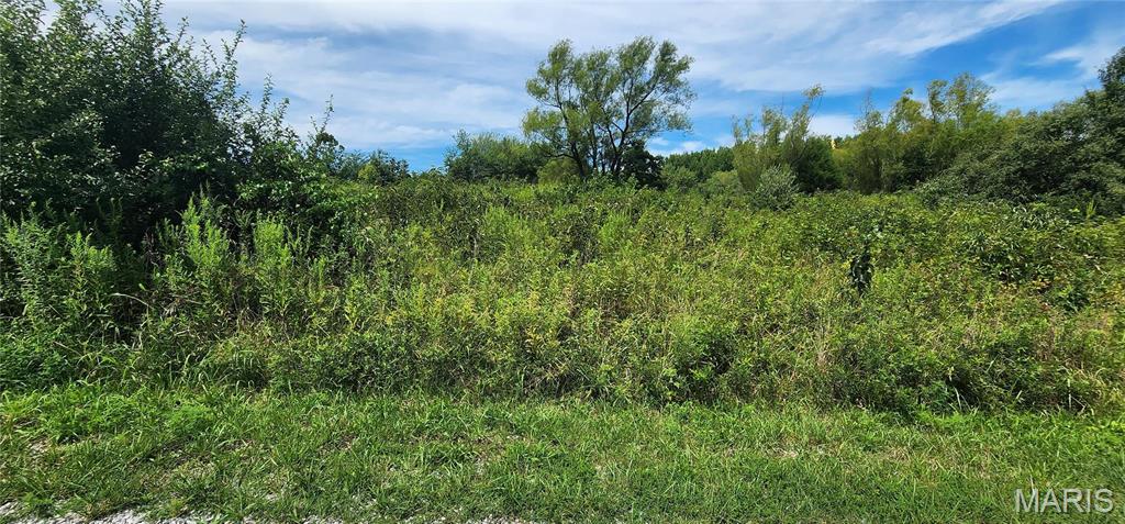 85 Maggie Lane Makanda, IL 62958 - Photo 14 of 16