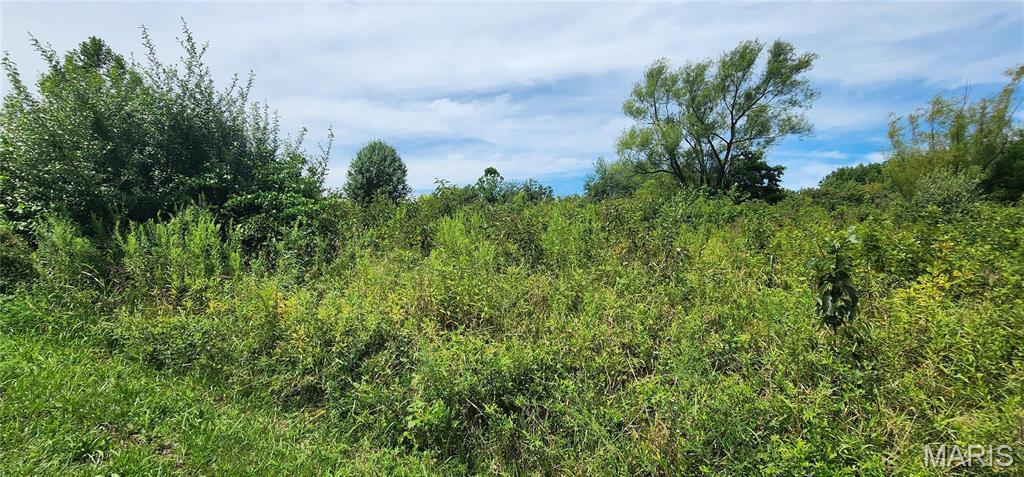 85 Maggie Lane Makanda, IL 62958 - Photo 16 of 16