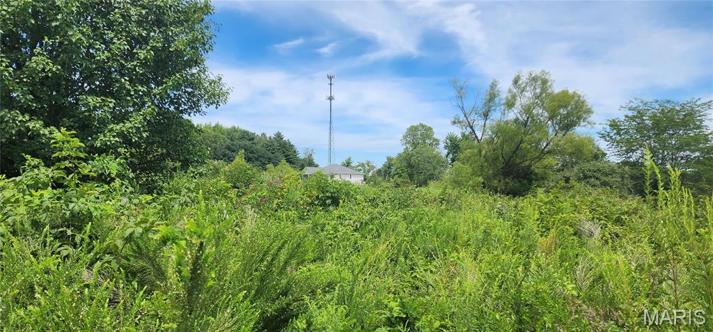 85 Maggie Lane Makanda, IL 62958 - Photo 2 of 16