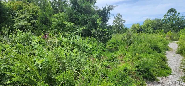 $35,900 | 85 Maggie Lane, Makanda, IL 62958