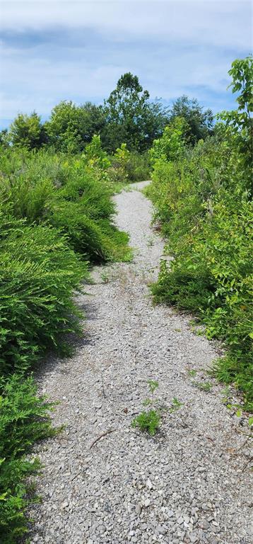 85 Maggie Lane Makanda, IL 62958 - Photo 4 of 16