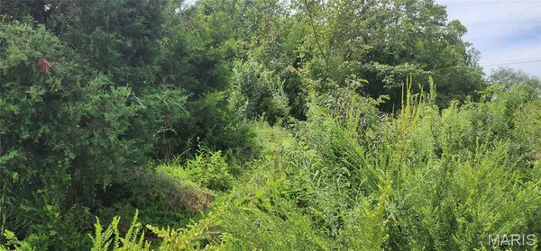 $35,900 | 85 Maggie Lane, Makanda, IL 62958