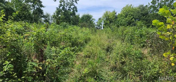 $35,900 | 85 Maggie Lane, Makanda, IL 62958