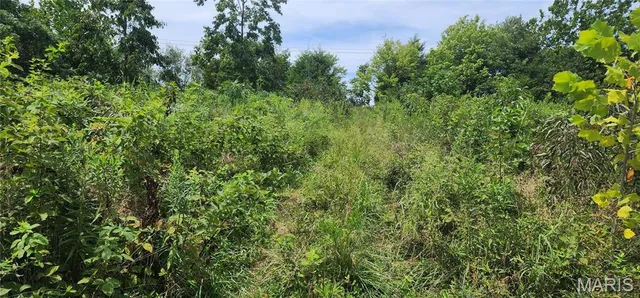 $35,900 | 85 Maggie Lane, Makanda, IL 62958