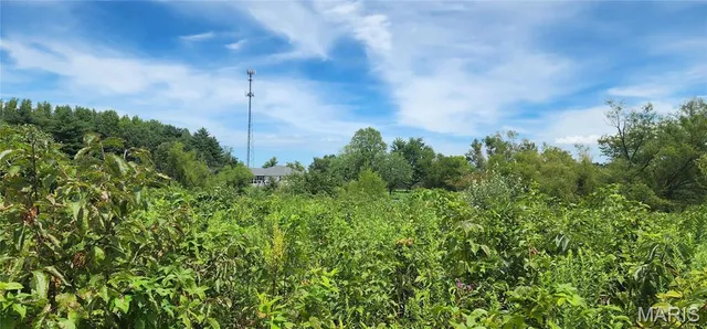 $35,900 | 85 Maggie Lane, Makanda, IL 62958