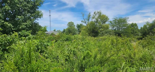 $35,900 | 85 Maggie Lane, Makanda, IL 62958