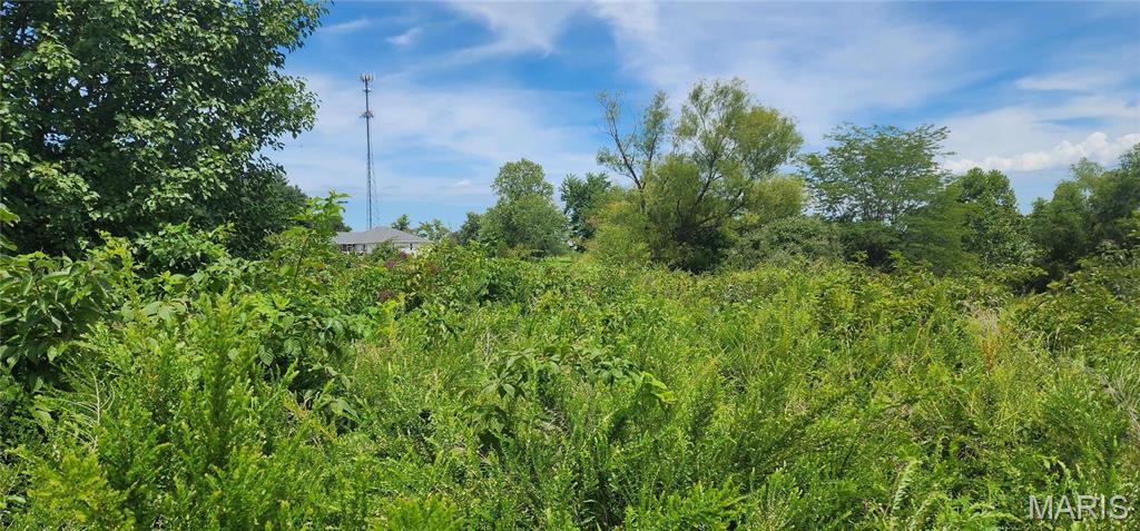 85 Maggie Lane Makanda, IL 62958 - Photo 9 of 16