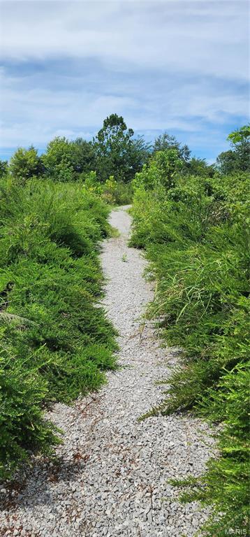 85 Maggie Lane Makanda, IL 62958 - Photo 10 of 16