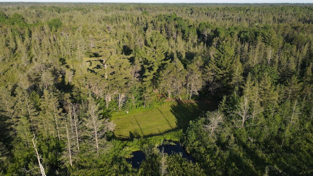 Vl Knute Road East Tawas, MI 48730 - Photo 14 of 96 DJI_0938