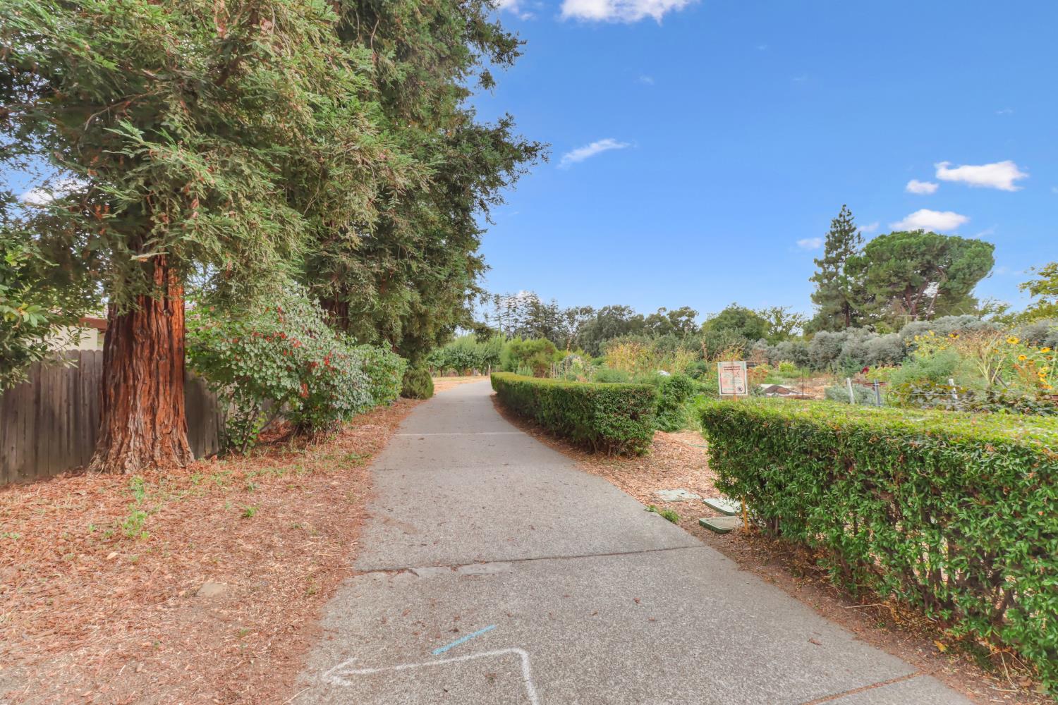 2526 Overhill Lane Davis, CA 95616 - Photo 42 of 60 a view of a road with a yard