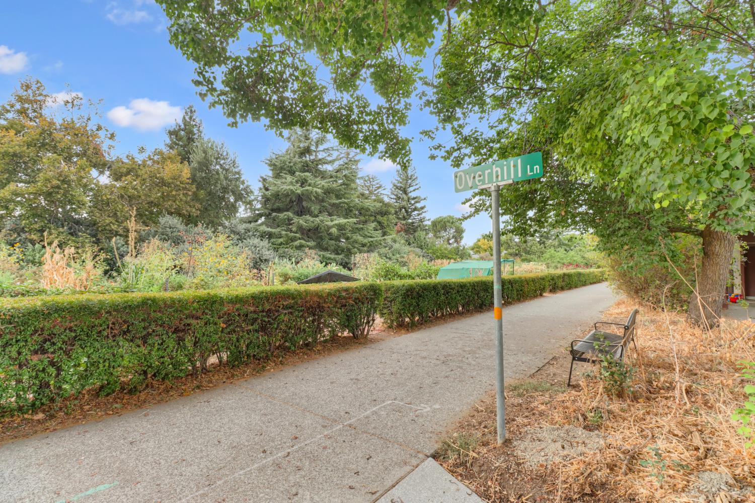 2526 Overhill Lane Davis, CA 95616 - Photo 43 of 60 a view of a road with an trees