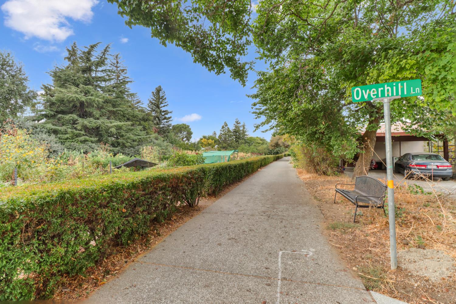 2526 Overhill Lane Davis, CA 95616 - Photo 44 of 60 a view of a yard with plants and trees