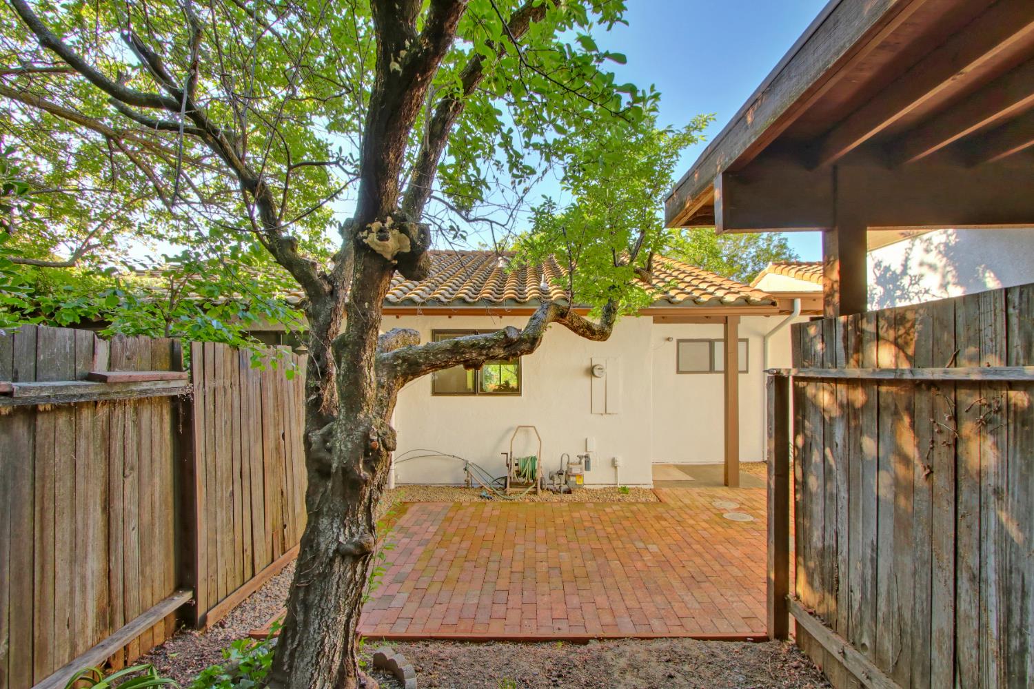 2526 Overhill Lane Davis, CA 95616 - Photo 5 of 60 a view of a backyard with wooden fence and large trees
