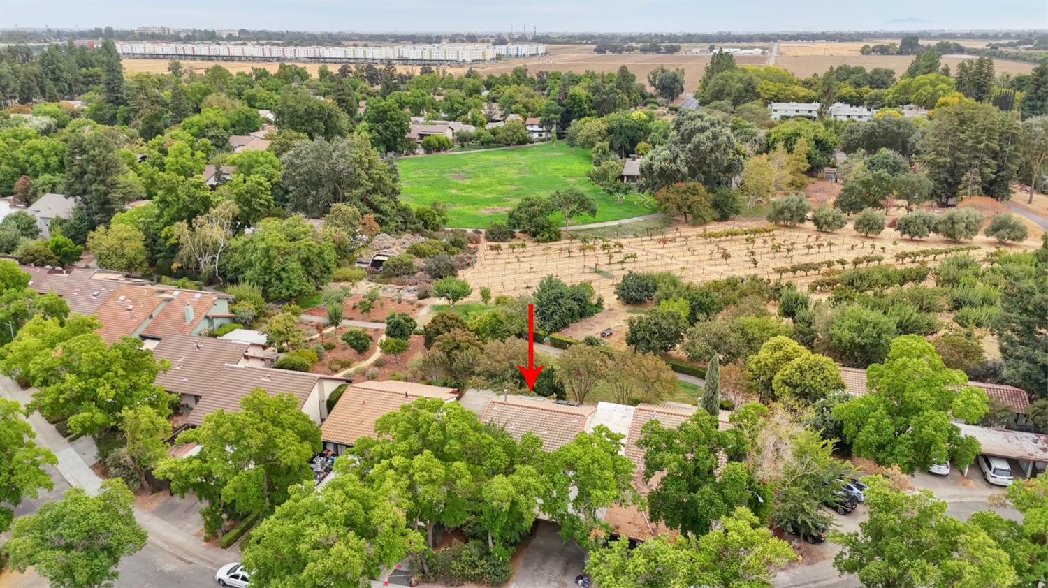2526 Overhill Lane Davis, CA 95616 - Photo 52 of 60 an aerial view of residential houses with outdoor space and trees