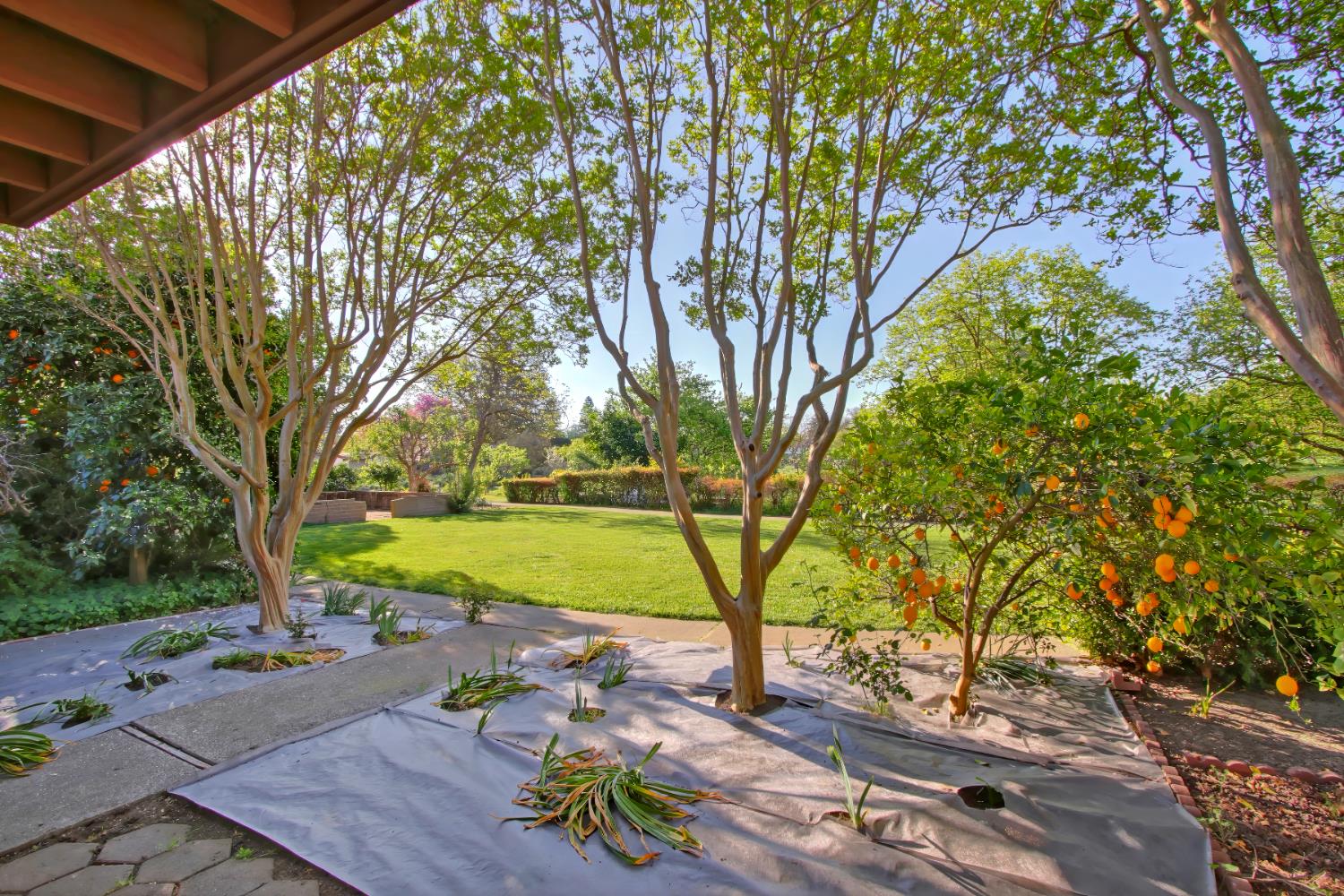 2526 Overhill Lane Davis, CA 95616 - Photo 58 of 60