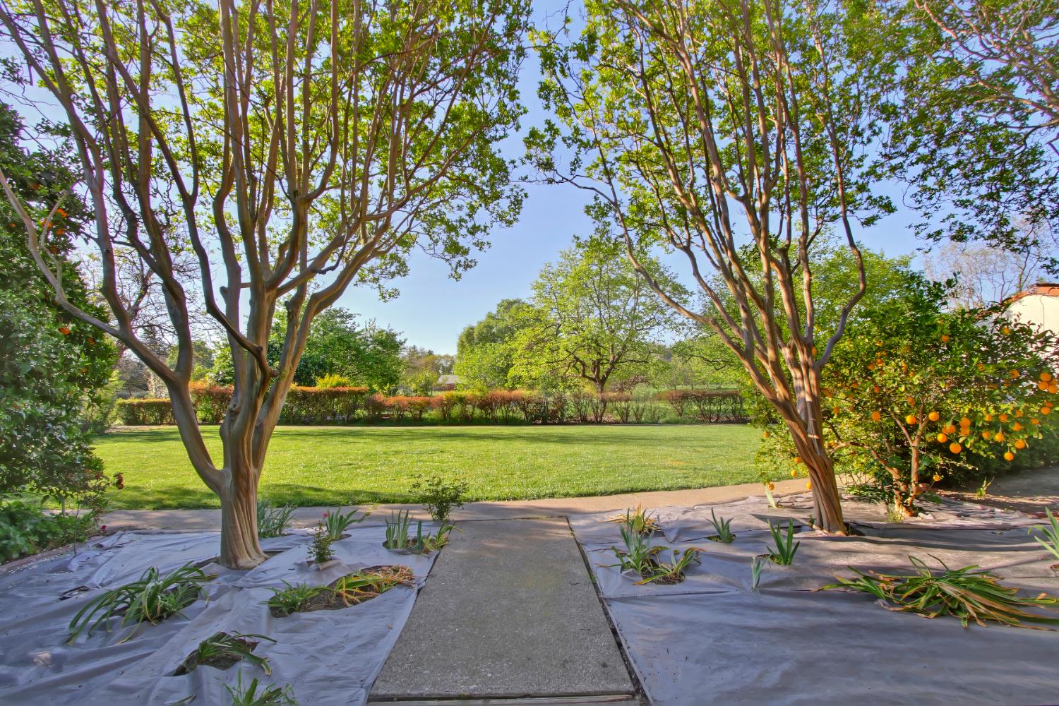 2526 Overhill Lane Davis, CA 95616 - Photo 59 of 60 a view of a yard with an outdoor space