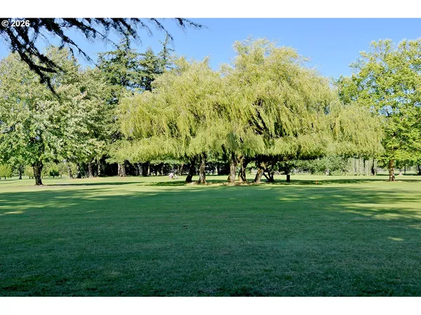 a big yard with lots of trees