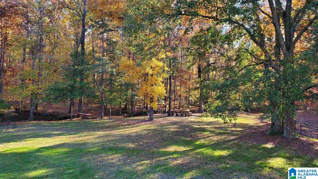 144 Silverleaf Drive Pelham, AL 35124 - Photo 43 of 50