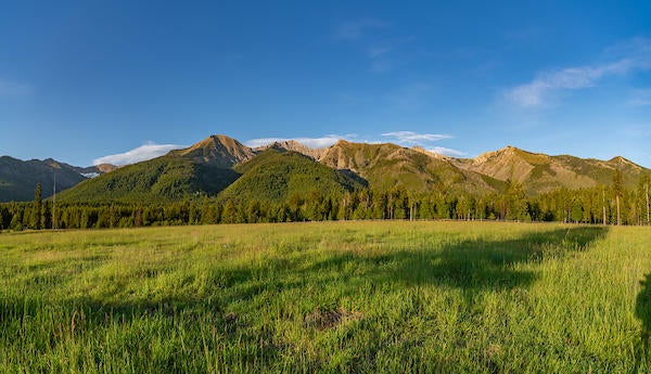 2705 Rumble Creek Road Condon, MT 59826 - Photo 12 of 25 20200709D850_DSC4566-Pano
