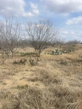 $12,750 | 221 County Road 221, Brookesmith, TX 76827