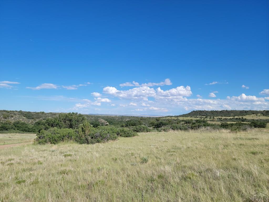 Tbd3 Greenhorn Road Rye, CO 81069 - Photo 2 of 6