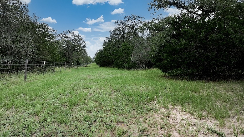 2625 Burke Road Flatonia, TX 78941 - Photo 15 of 19