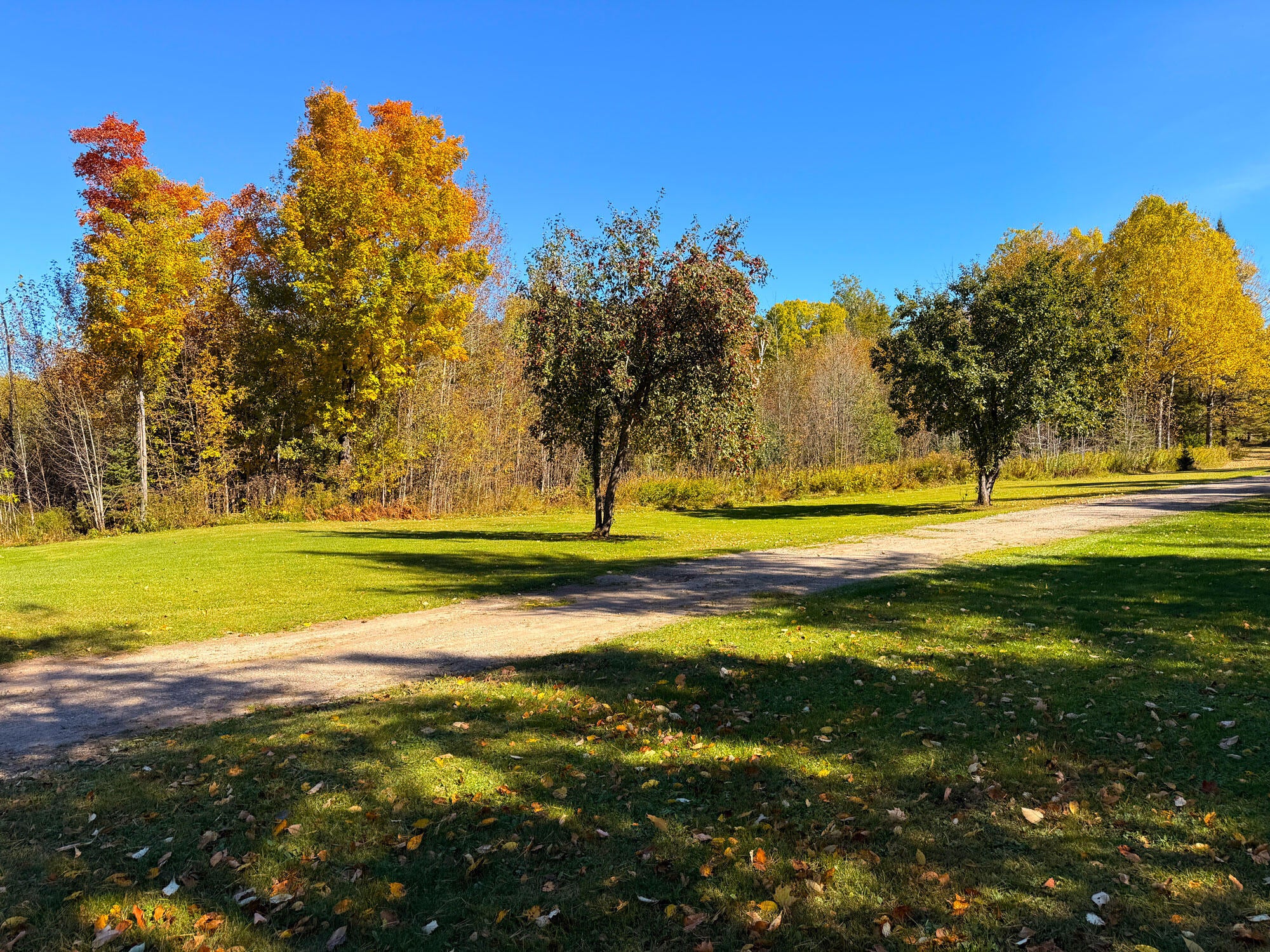 4122 Gorman Road St. Ignace, MI 49781 - Photo 60 of 67 Gallery Image 60