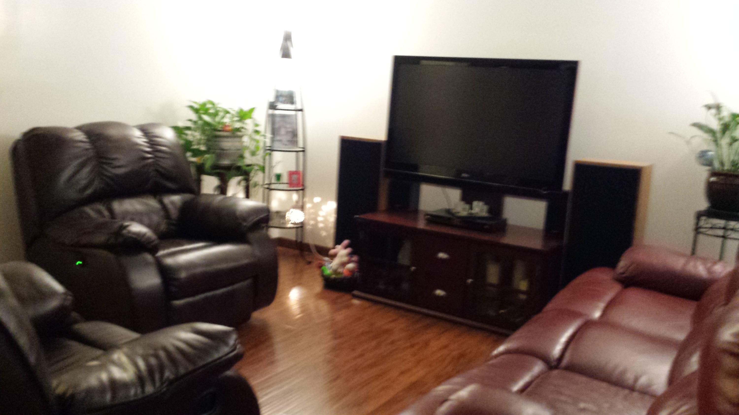 3416 Wexgate Road Knoxville, TN 37931 - Photo 3 of 17 LIVING ROOM