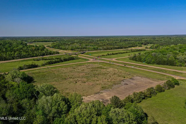 $445,000 | 1 Hwy 45 South Artesia Ms 39736, Starkville, MS 39759