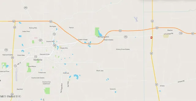 $445,000 | 1 Hwy 45 South Artesia Ms 39736, Starkville, MS 39759