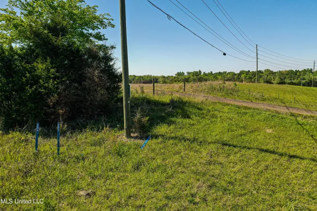 $445,000 | 1 Hwy 45 South Artesia Ms 39736, Starkville, MS 39759