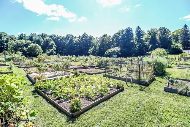a view of a yard with wooden fence