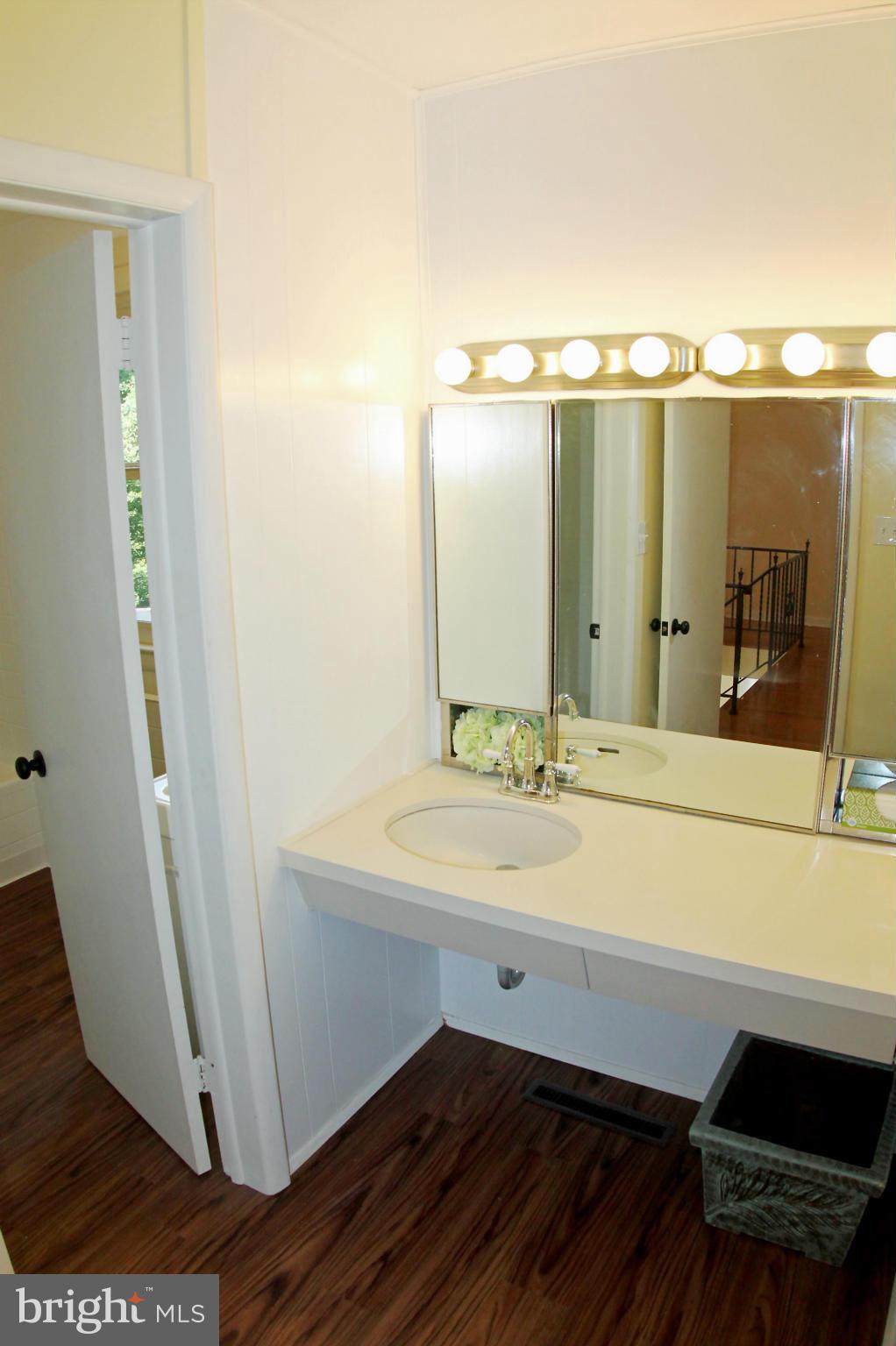 1000 Dunblane Road Baltimore, MD 21286 - Photo 22 of 29 Bath (Master)
