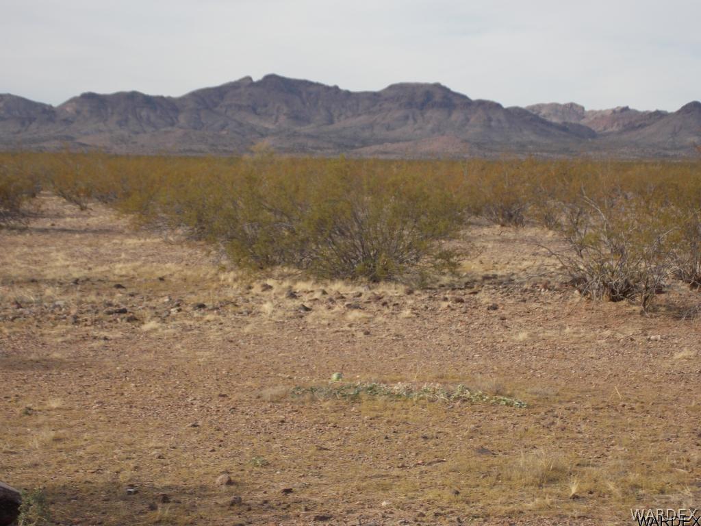 3936 Eden Road Golden Valley, AZ 86413 - Photo 3 of 6 LOOKING WEST ACROSS STREET