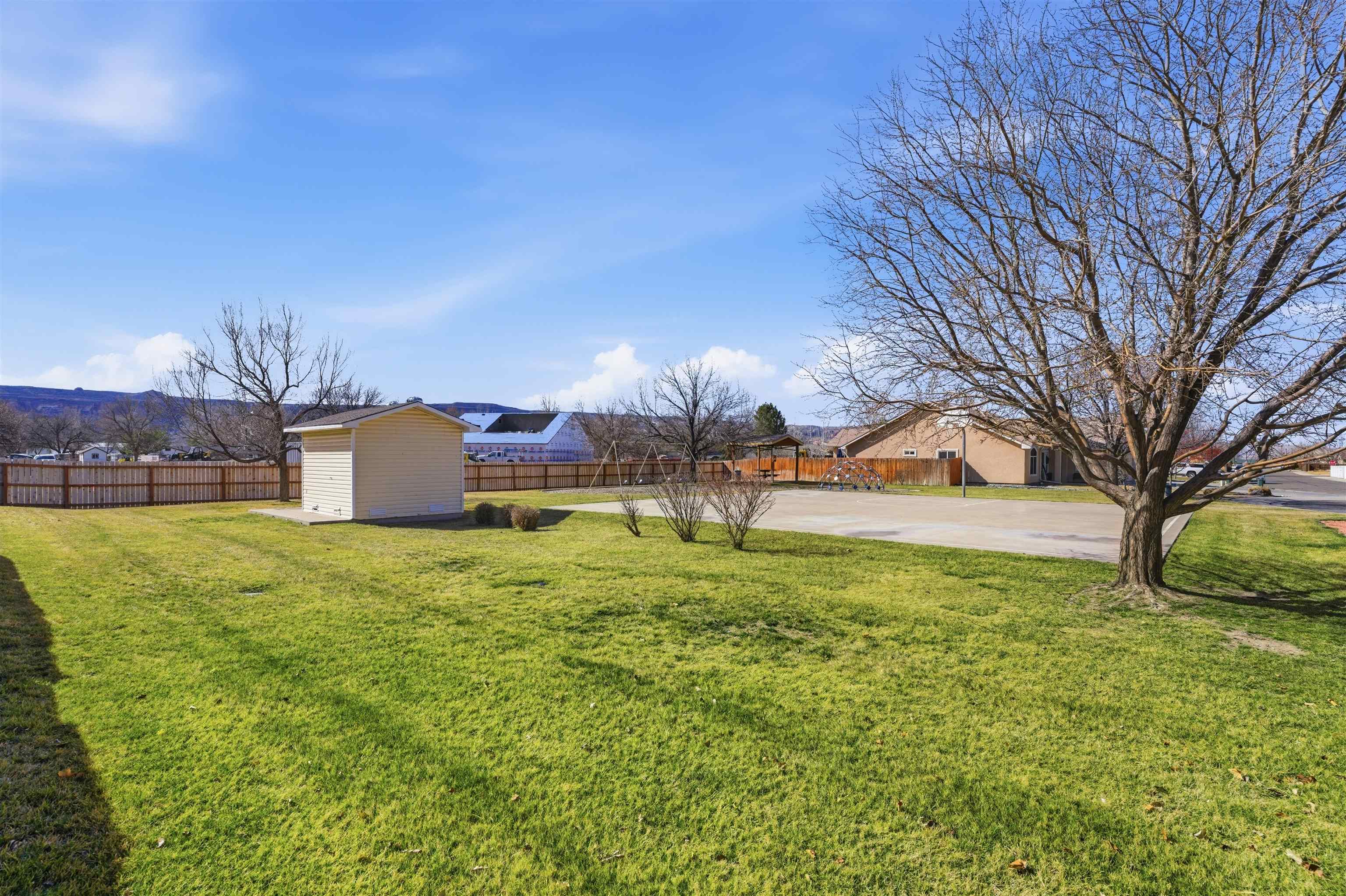 934 Cliffrose Avenue Fruita, CO 81521 - Photo 33 of 34