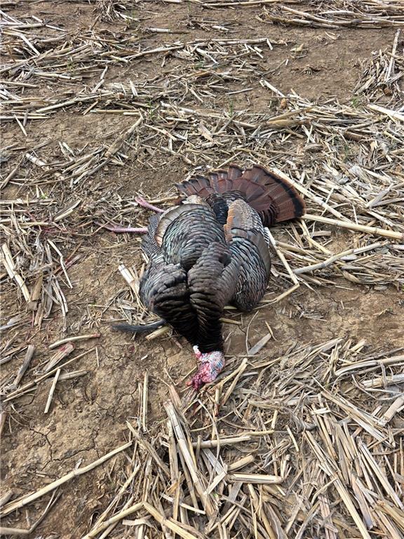 Southeast 321st Road Leeton, MO 64761 - Photo 65 of 75