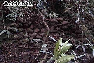 0 Hana Highway Haiku, HI 96708 - Photo 11 of 12