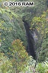 0 Hana Highway Haiku, HI 96708 - Photo 12 of 12 a view of a outdoor space