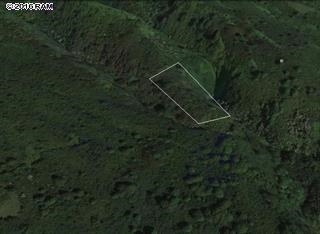 0 Hana Highway Haiku, HI 96708 - Photo 10 of 12 a backyard of a house