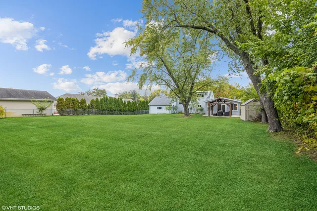 a view of a park with large trees