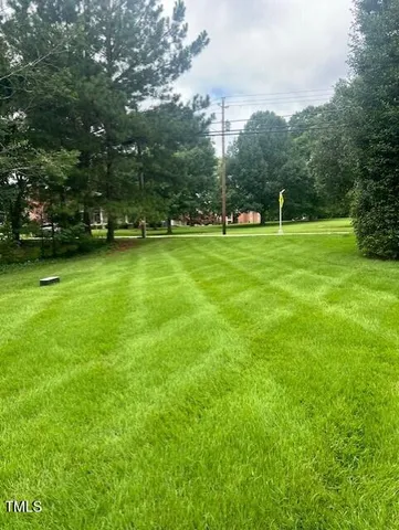 a view of a green field