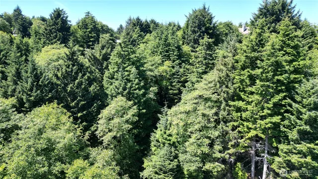 a plant that is in a garden